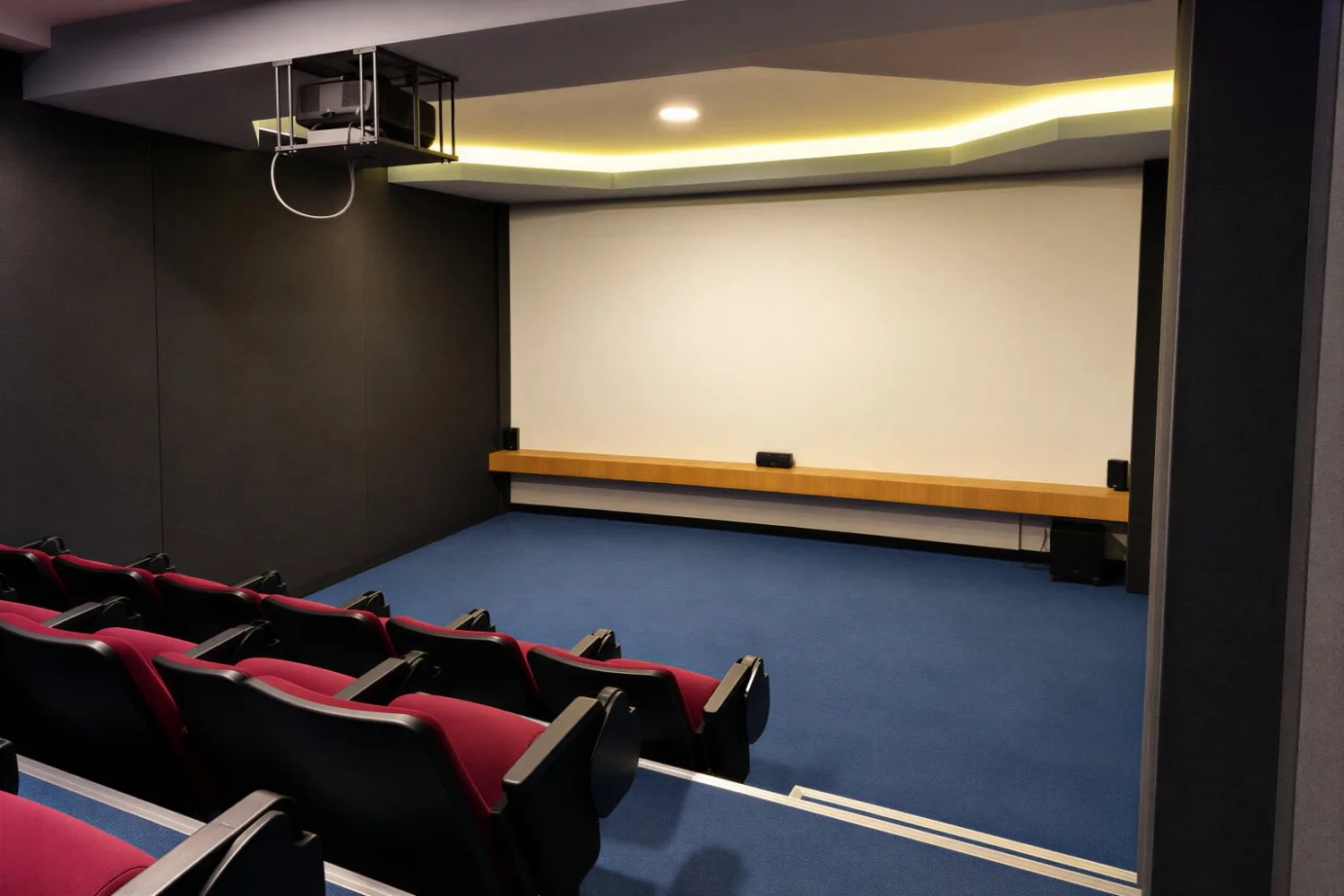 Sala de cine privada